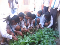 groepje kinderen van de school Atiy oogst radijs